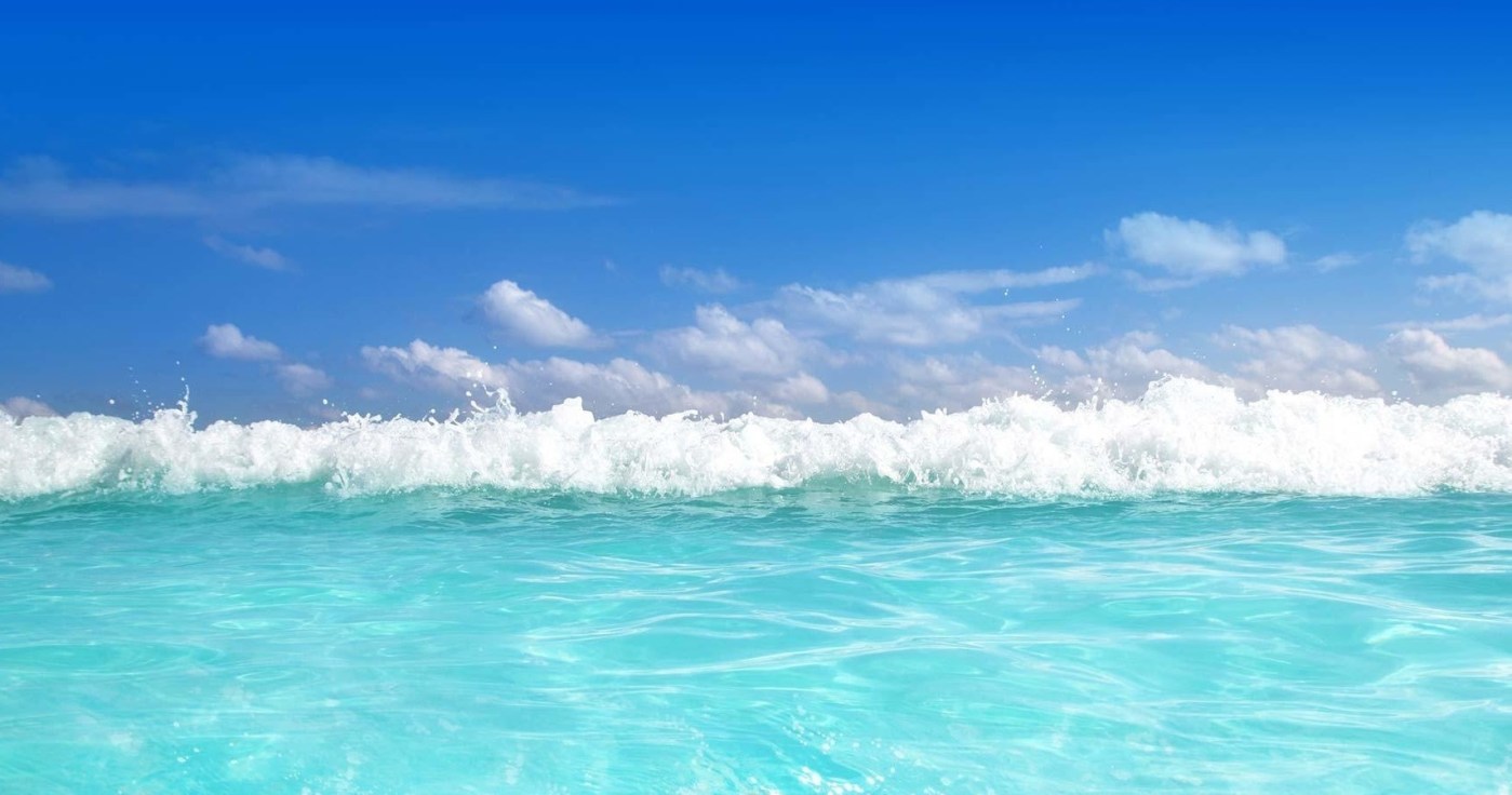 Sea Maui Surf photo 2