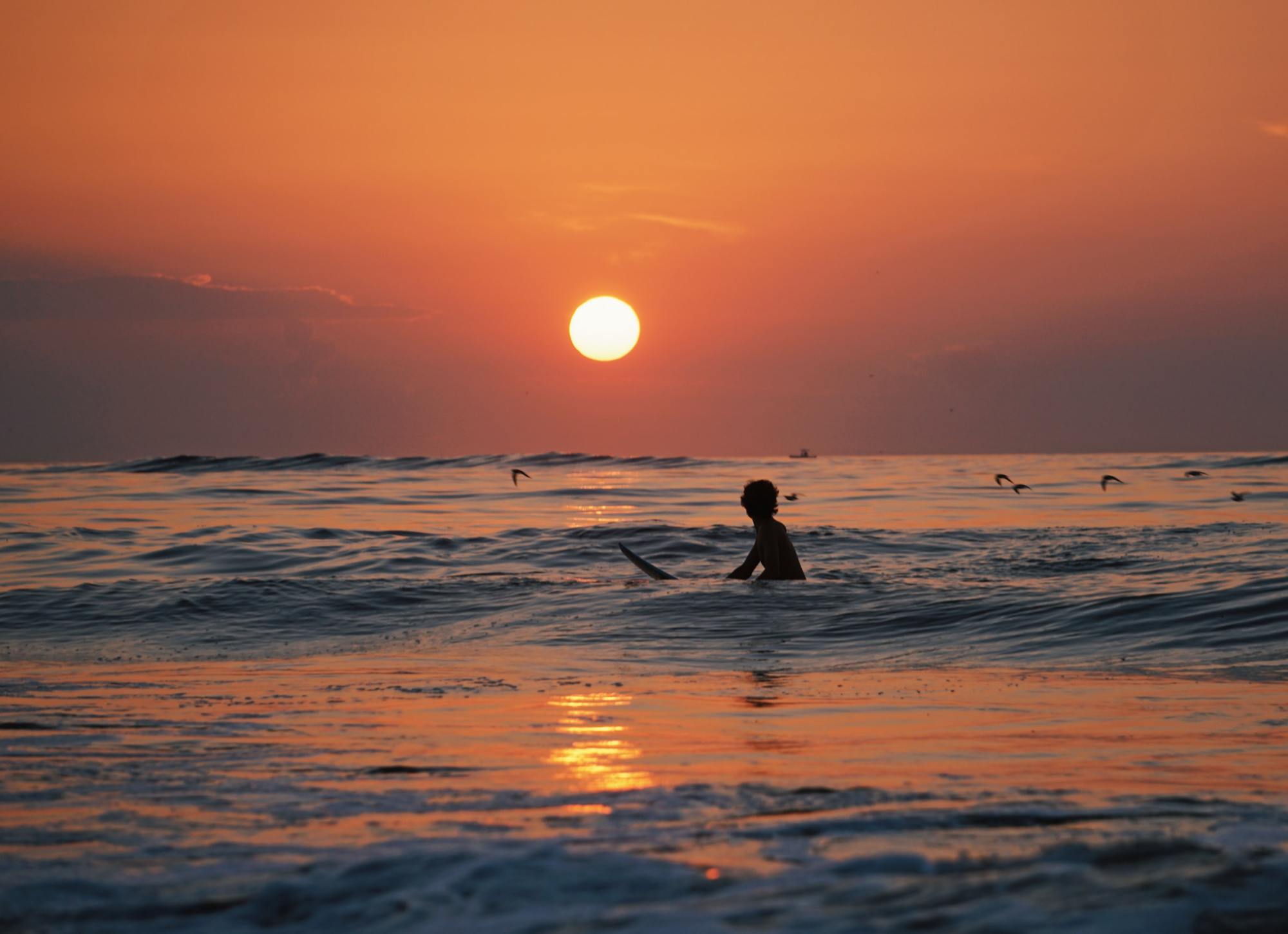 Surf Rentals in Lahaina a man standing on a beach with a sunset in the background
