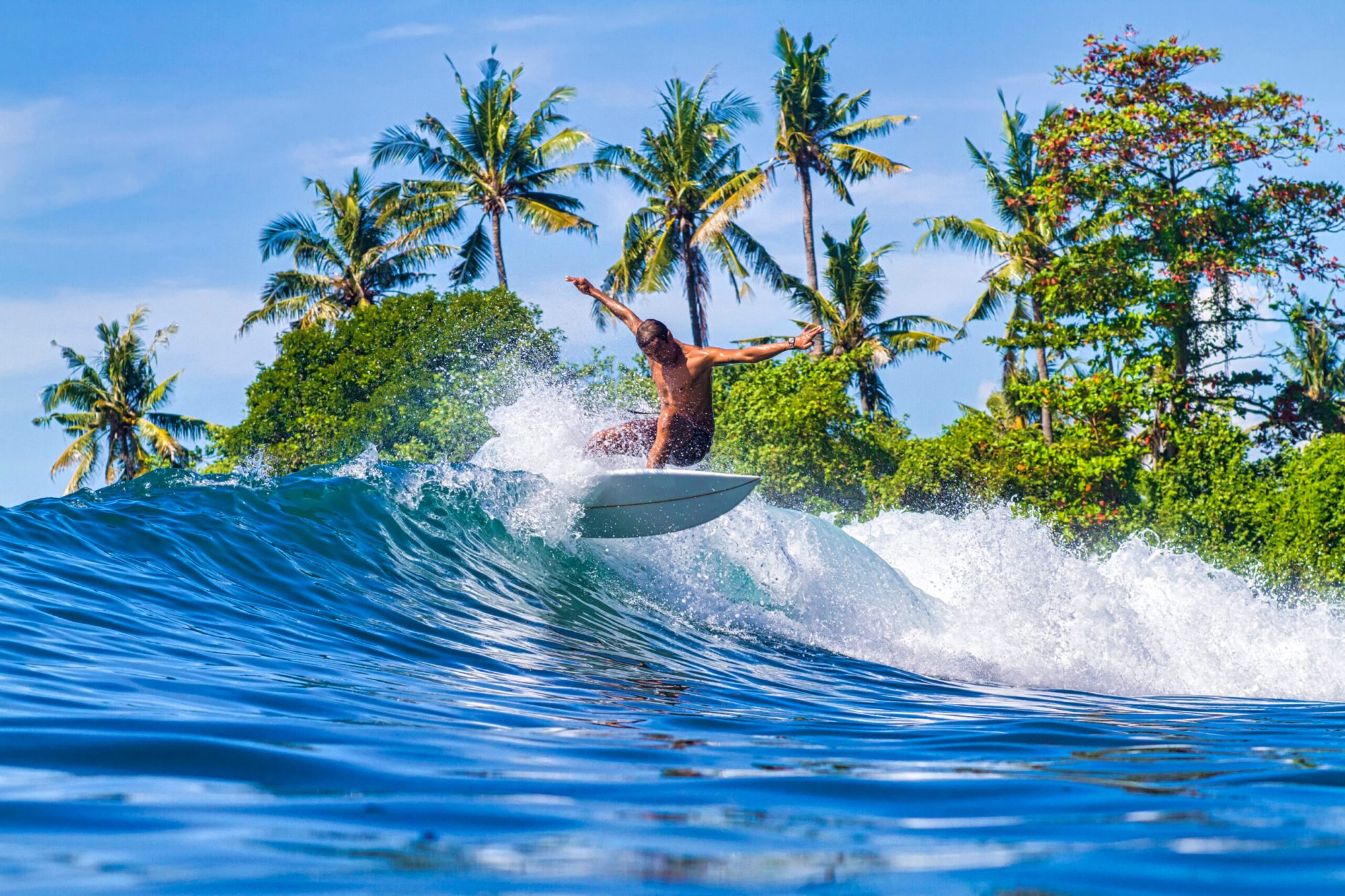 Surfer on Amazing Blue Wave Cost of Surf Lessons in Maui
