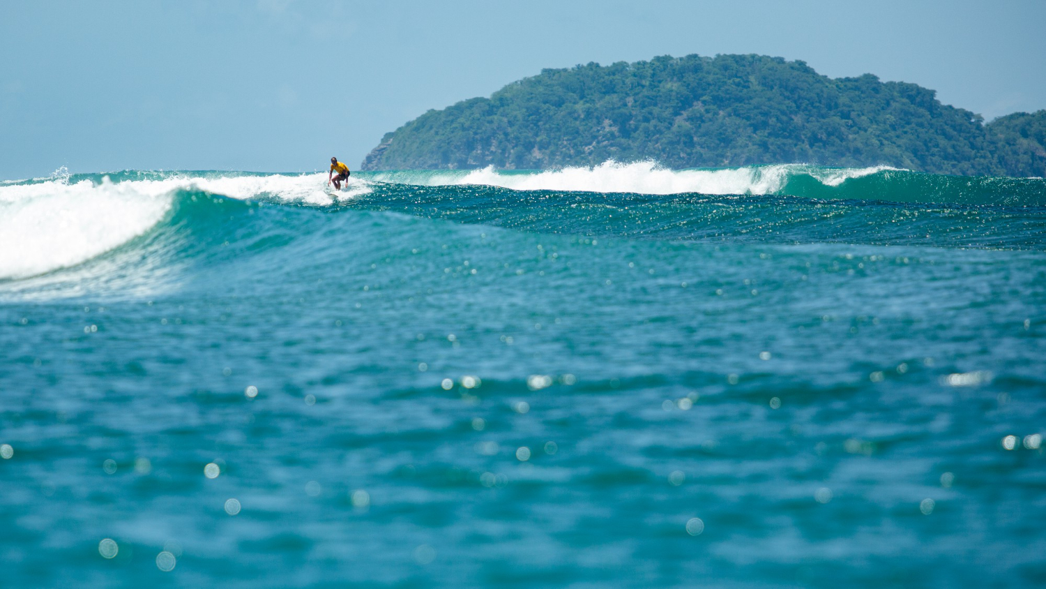 learn to surf Maui learn to surf Maui
